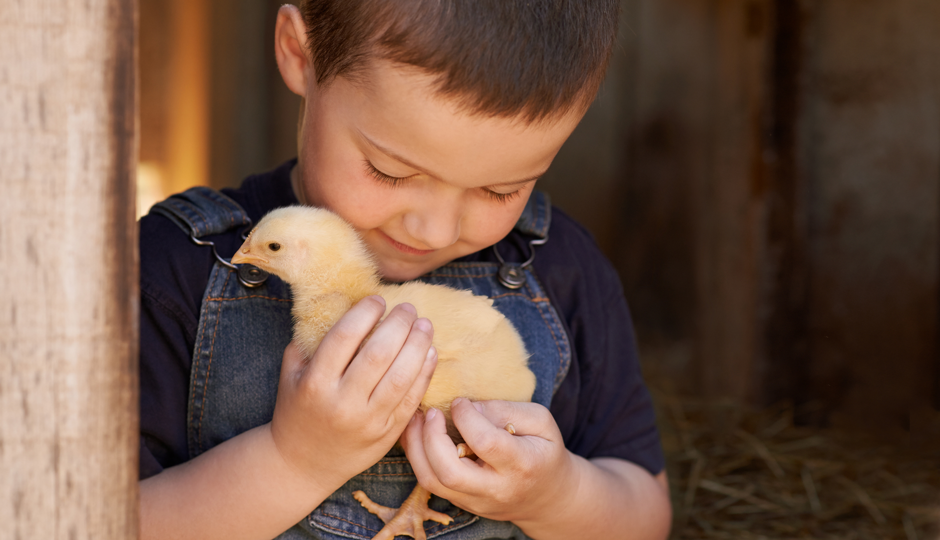 Child holding baby chick